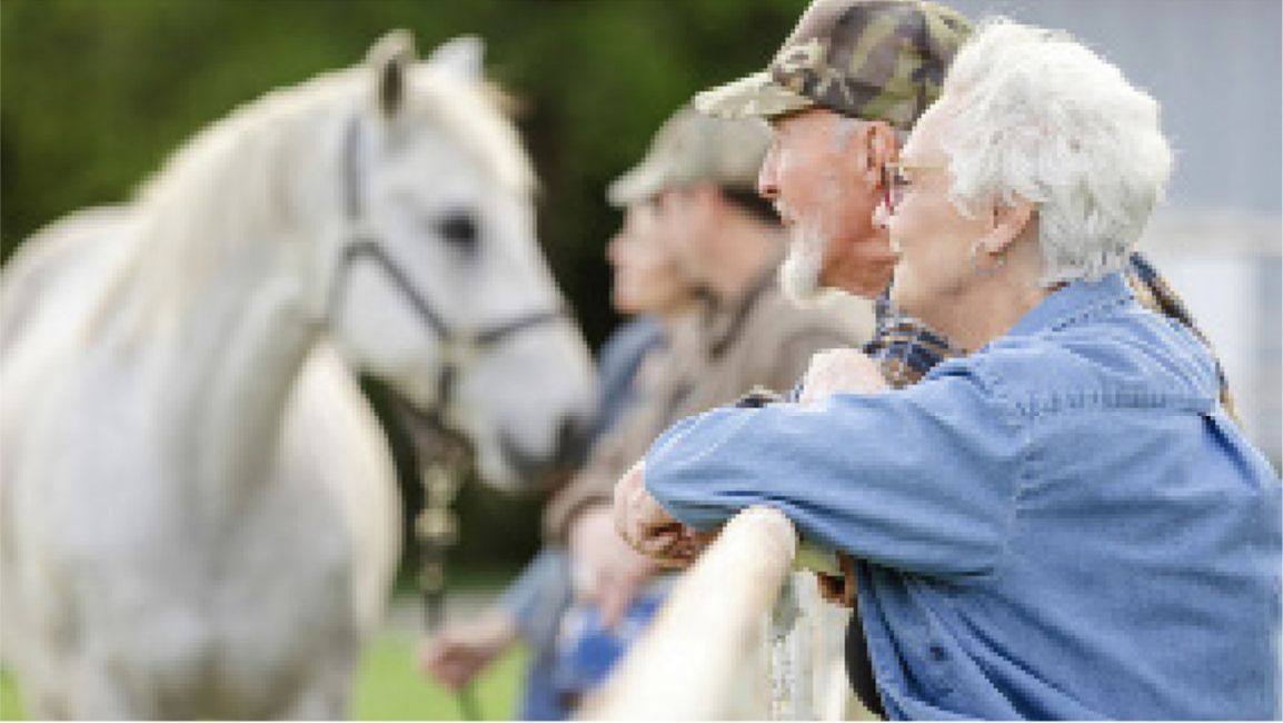 Bear Creek Stables reimagined as a sanctuary for lifelong learning